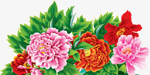 牡丹花開富貴圖 免費高清PNG素材，點綴你的創(chuàng)意設(shè)計