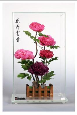 菏澤特產(chǎn)|牡丹“不凋花” 永不凋謝的牡丹苗木